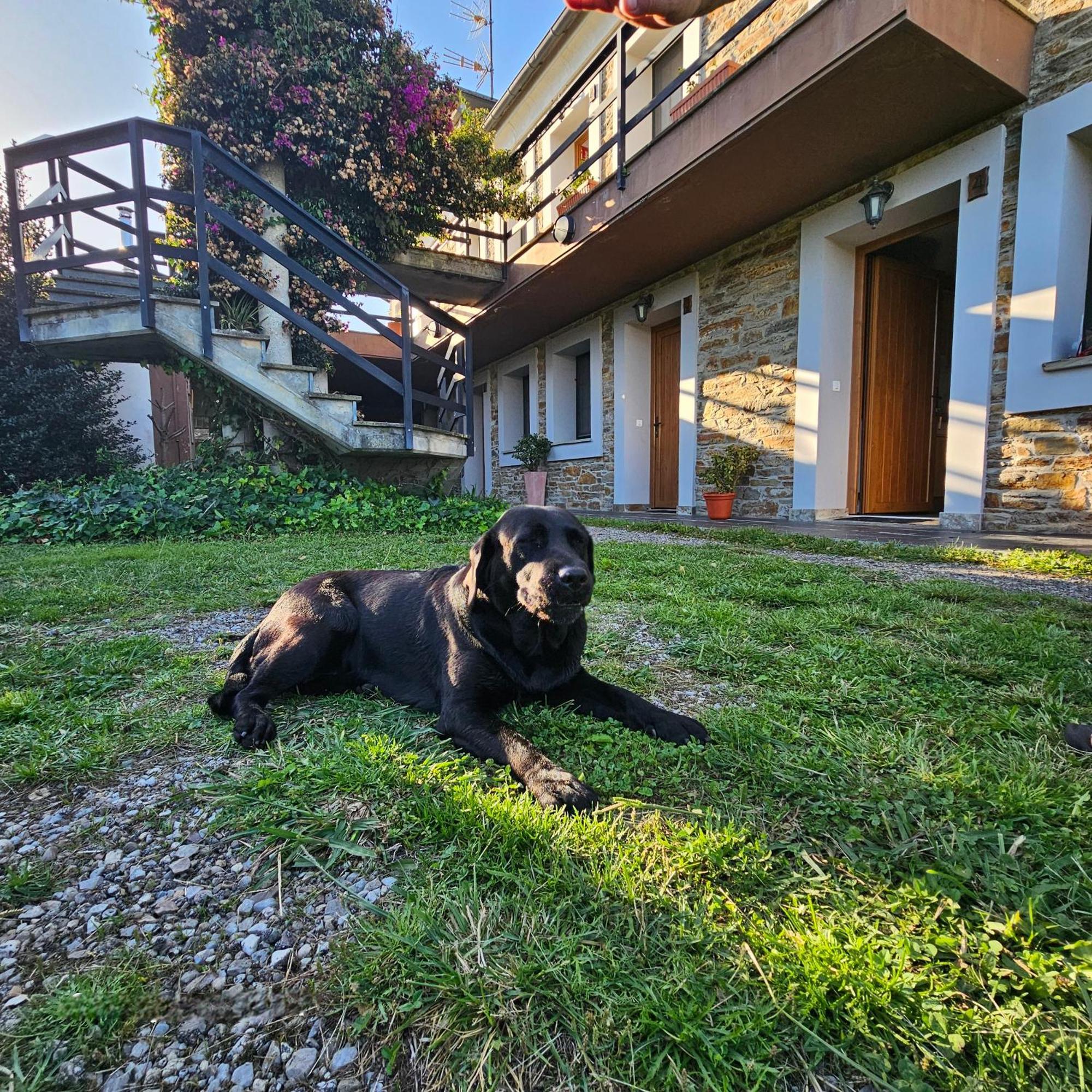 Apartamentos Castello Cartavio Exteriér fotografie